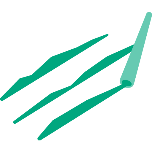 Speed: wat je moet weten Icon